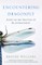Encountering Dragonfly
