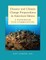 Disaster and Climate Change Preparedness in American Samoa