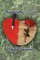 Animosity and Love
