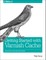 Getting Started with Varnish Cache