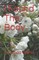 I Found The Body