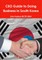 CEO Guide to Doing Business in South Korea