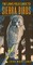 Sierra Birds