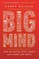 Big Mind