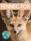 Fennec Fox