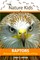 Nature Kids - Raptors