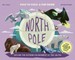 North Pole / South Pole