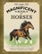 The Magnificent Book of Horses