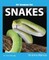 My Favorite Pet