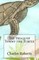 The trials of Tommy the Turtle