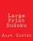 Large Print Sudoku
