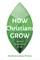 How Christians Grow