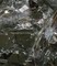 Transpositional Geologies