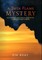 A Twin Flame Mystery