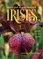 Dwarf and Median Bearded Irises