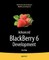 Advanced Blackberry 6 Development