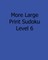 More Large Print Sudoku Level 6