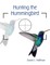 Hunting the Hummingbird