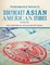 Contemporary Issues in Southeast Asian American Studies