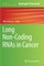 Long Non-Coding Rnas in Cancer