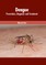 Dengue: Prevention, Diagnosis and Treatment