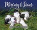 Mercury & Sirius