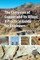 The Corrosion of Copper and its Alloys
