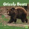 Grizzly Bears
