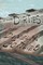 The Dirties
