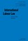 International Labour Law, Selected Issues