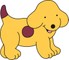 All about Spot