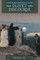 Understanding the Olivet Discourse