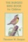 The Burgess Bird Book for Children (Yesterday's Classics)