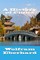 A History of China
