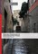 Thematic Prosecution of International Sex Crimes (Second Edition)