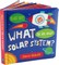 What Is in Our Solar System? Board Book