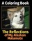 The Reflections of My Alaskan Malamute