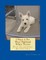I Want A Pet West Highland White Terrier