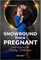 Snowbound Then Pregnant