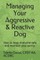 Managing Your Aggressive & Reactive Dog