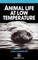 Animal Life at Low Temperature