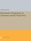 Renaissance Perspectives in Literature and the Visual Arts