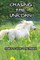 Chasing the Unicorn