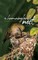 A Hummingbird's Nest
