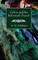 Calvin and the Reformed Church