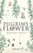Pilgrim's Flower