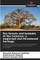 Dry forests and baobabs of the Comoros
