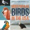 Most Popular Birds In The USA