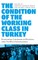 The Condition of the Working Class in Turkey
