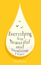 Everything was Beautiful and Nothing Hurt